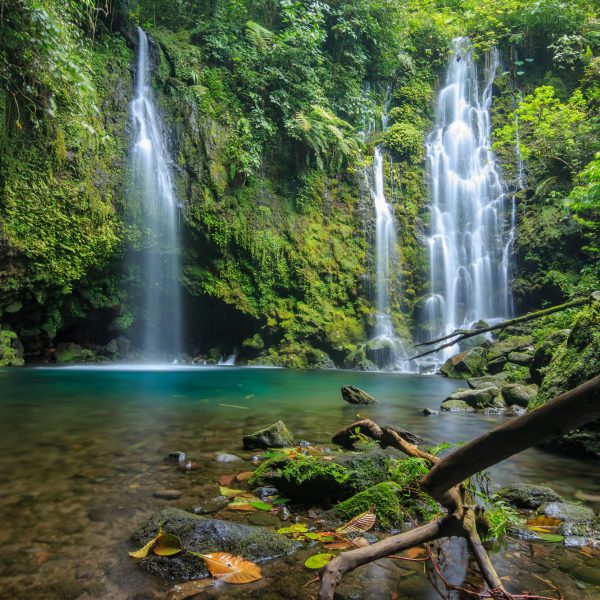 waterfall-rainforest-in-sumatra-d7172a11a90f4e7385f250ee8e2981a1